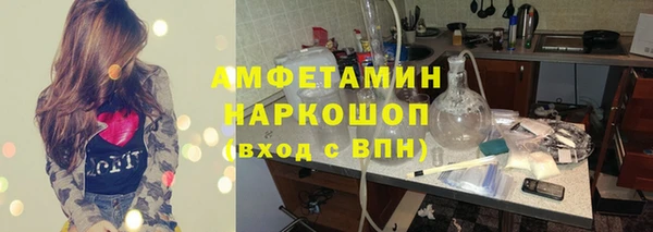шишки Аркадак