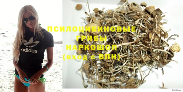 каннабис Арсеньев