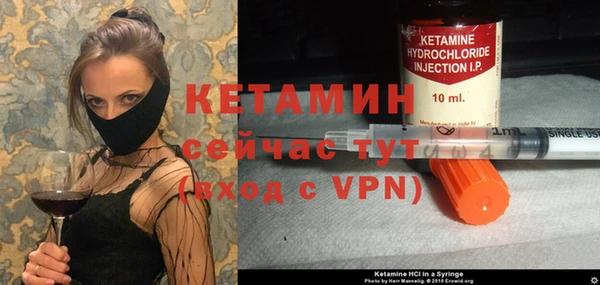 шишки Аркадак